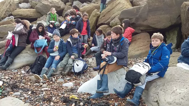 Une classe explore les rochers au bord de la mer