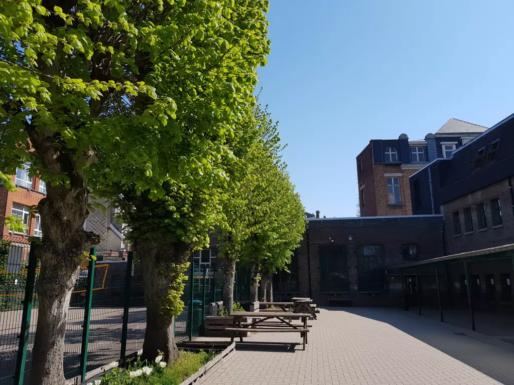 Allée d’arbres le long de la cour, avec des tables de pique-nique