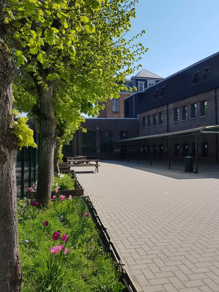 Allée pavée bordée d’arbres et de fleurs, le long du bâtiment