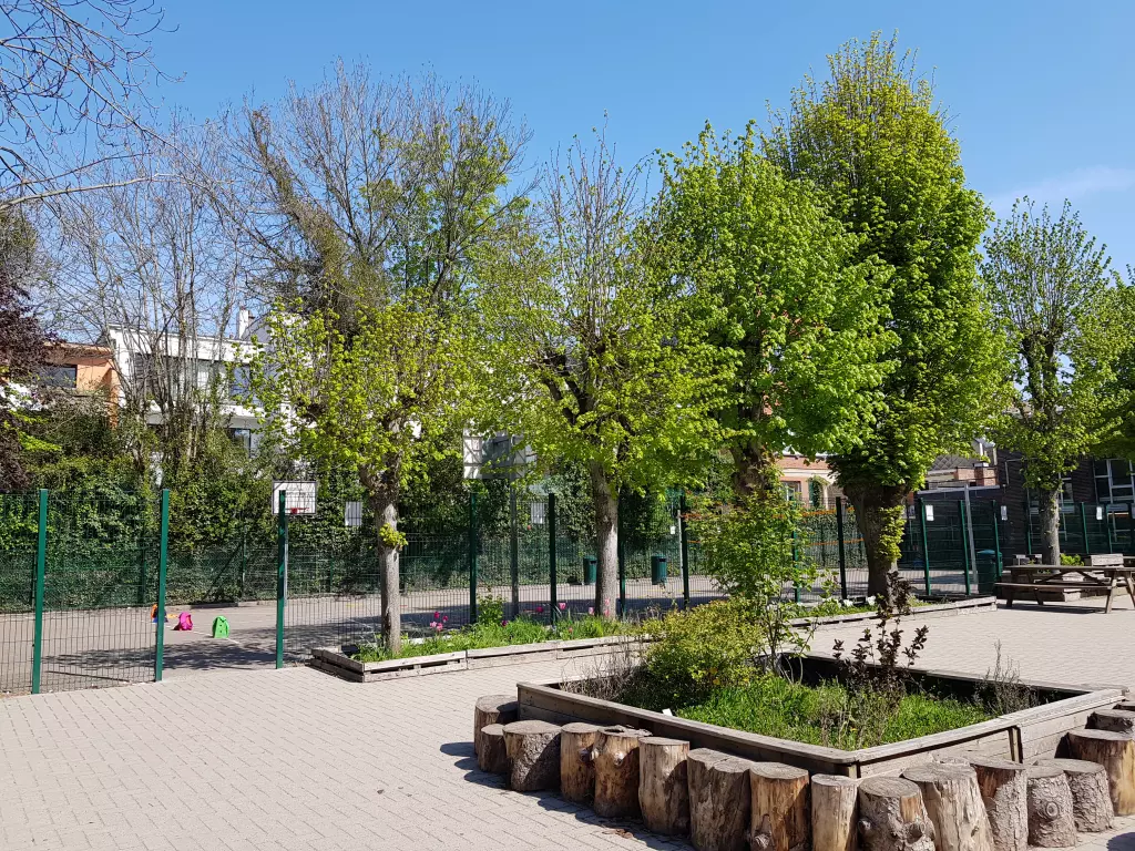 Cour arborée avec un bac de plantation entouré de rondins