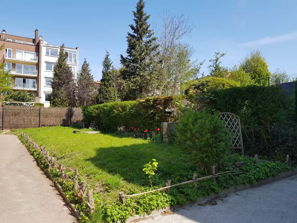Jardin en pente avec une pelouse et des haies, à côté de la cour