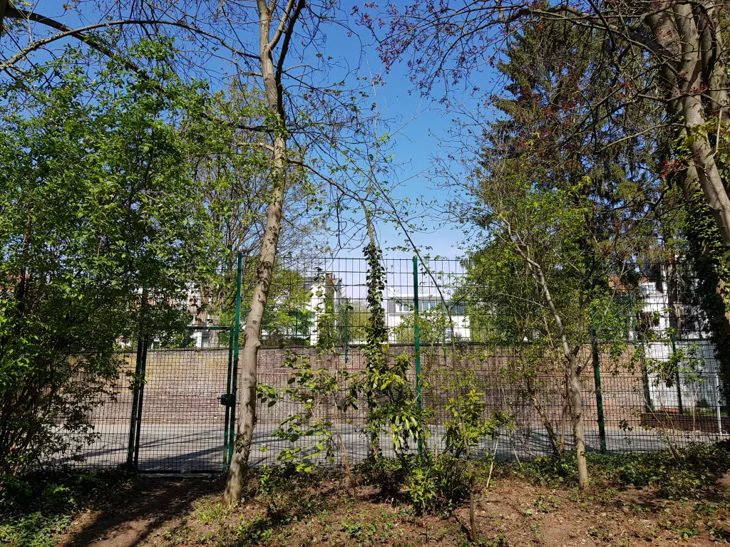 Terrain de sport grillagé derrière les arbres