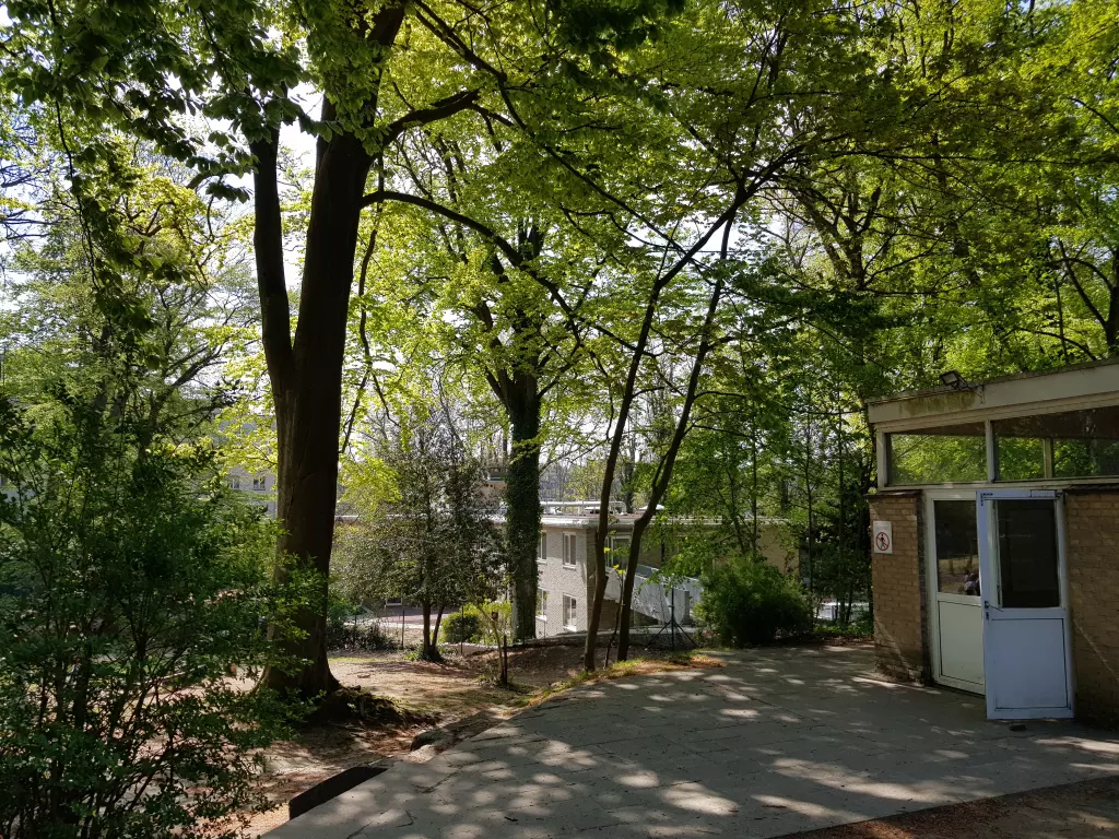 Chemin sous les arbres du parc, à côté d’un petit pavillon