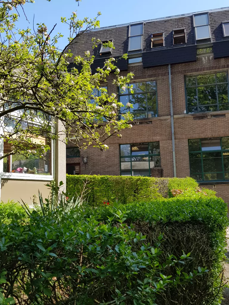 Façade du bâtiment derrière une haie et un arbre en fleurs