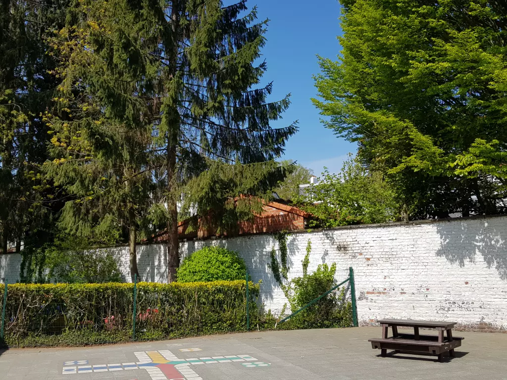 Cour avec un mur blanc, des sapins et une table de pique-nique