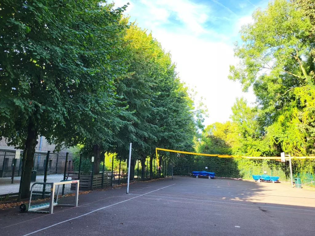 Terrain de sport sous les arbres, avec un filet et des buts
