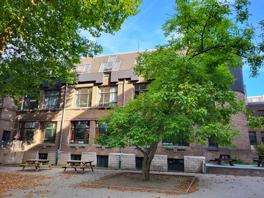 Grand arbre devant la façade de briques de l’école